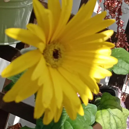 Museum Bed & Breakfast Napoli