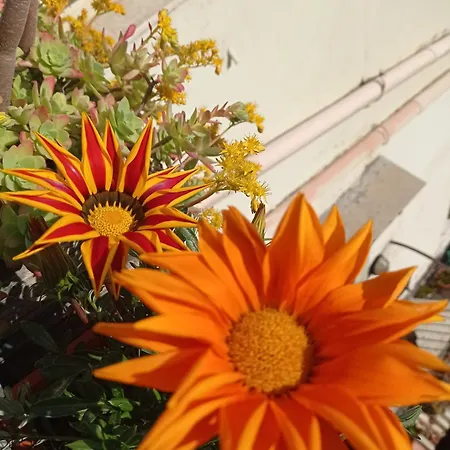 Bed & Breakfast Museum Napoli