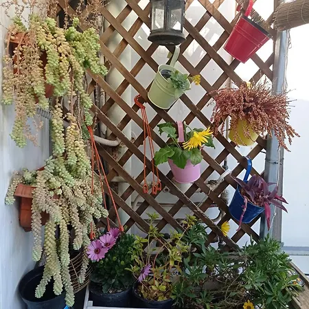 Museum Bed & Breakfast 3*