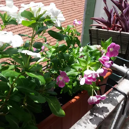 Bed & Breakfast Museum