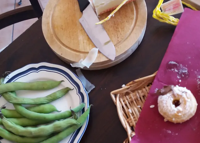 לינה וארוחת בוקר Museum