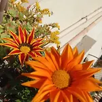 Bed & Breakfast Museum Neapel