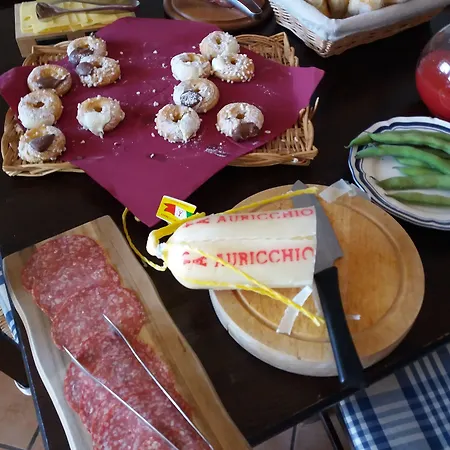 Museum 4*