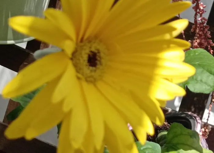 Museum Bed and Breakfast Νάπολη