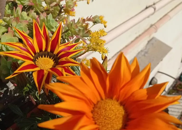 Bed and Breakfast Museum Νάπολη