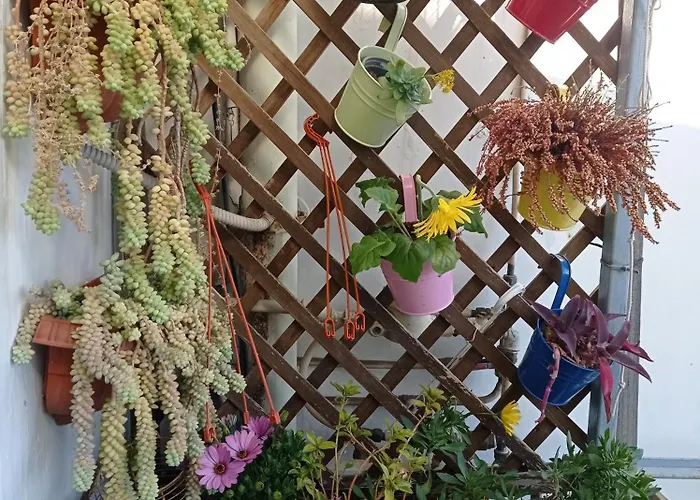 Museum Bed and Breakfast 3*