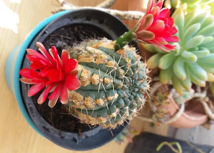 Bed and Breakfast Museum 3*